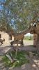 PICTURES/Vulture City Ghost Town - formerly Vulture Mine/t_Hanging Tree.jpg